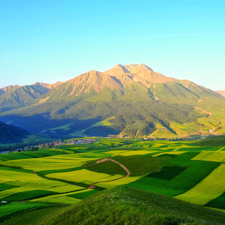 高山生态基地